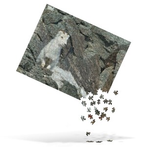 Dall Sheep Jigsaw puzzle