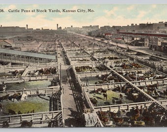 Antique Postcard, Cattle Pens at Stock Yards, Kansas City Missouri, 1910s unposted
