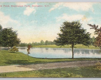 Antique Postcard, Duck Pond, Maplewood Park, Rochester New York, Posted 1911