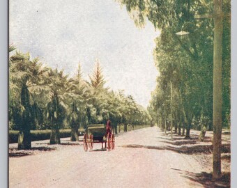 Antique Postcard, Palmetto Avenue, Los Angeles California, Antique Car Driving, Posted 1908, Divided back