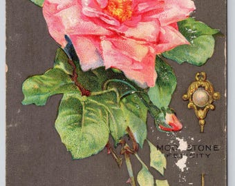 Antique Postcard, August, Birth Month, Wild Rose Simplicity, Moonstone Felicity, Posted 1909