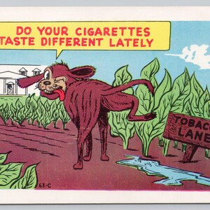 does your tobacco taste different lately Do Cigarettes Lately? Humor Post Card Do Your Cigarettes Taste Different