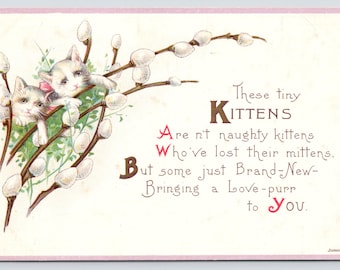 Antique Postcard, Tiny Kittens Naughty Kittens Postcard Greetings, 1910s unposted