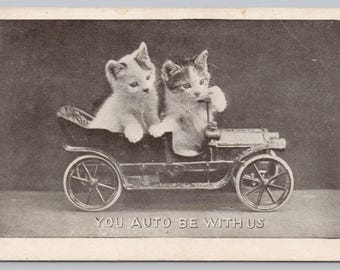 Antique Cat Postcard, You Auto Be With Us, Two Kittens Driving Antique Car, Posted 1912, Rare Divided Back Postcard