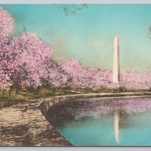 Antique Postcard, Japanese Cherry Trees & Washington Monument, Potomac Park Tidal Basin, Washington DC Postcard, 1930s unposted