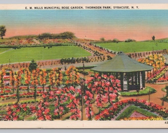 Antique Postcard, E.M. Mills Municipal Rose Garden, Thornden Park, Syracuse New York, Posted 1940s
