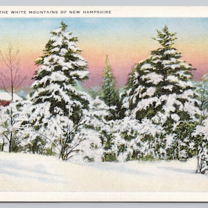 Antique Postcard, Winter in the White Mountains of New Hampshire, Snow Covered Trees, Antique New Hampshire Postcard, 1920s unposted