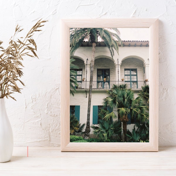 Santa Barbara Digital Download Art Print, 35mm Film Photography, Palm Tree Home Decor Gallery Wall Art, Printable Art