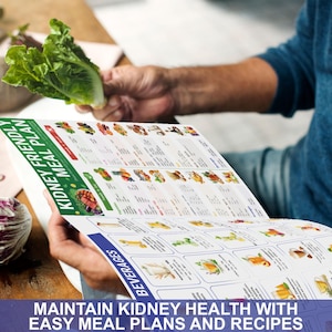 May include: A close-up of a person looking at a guide to kidney-friendly meal plans. The guide features a colourful chart with images of various foods and beverages. The text on the guide reads "Kidney Friendly Meal Plan" and "Maintain Kidney Health with Easy Meal Plans and Recipes".