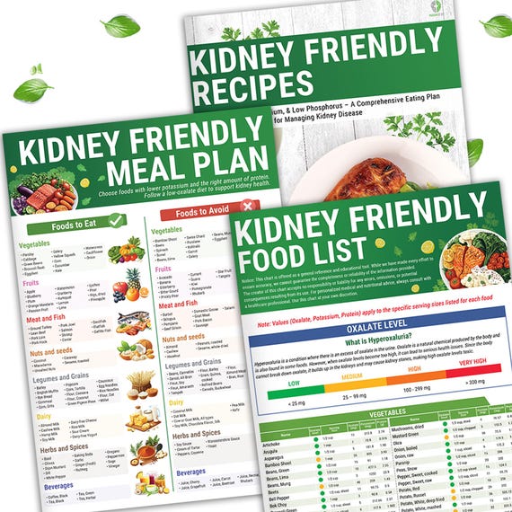 3pcs Kidney Friendly Food List Chart – Diet Guide for CKD, Dialysis & Hypertension Patients | Low Sodium, Potassium and Phosphorus Foods