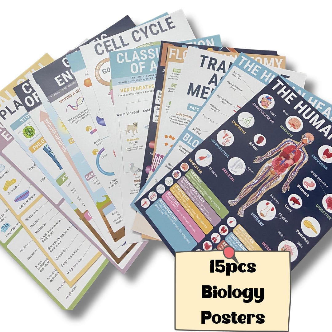 15 Biology Posters for Classroom – Laminated Life Science Educational ...