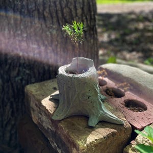 Bonsai Cedar Tree, Eastern Cedar Sapling Live Plant in Handmade Tree Stump Vase with Cedar Sapling for Landscaping, Perfect Gifts for Dad