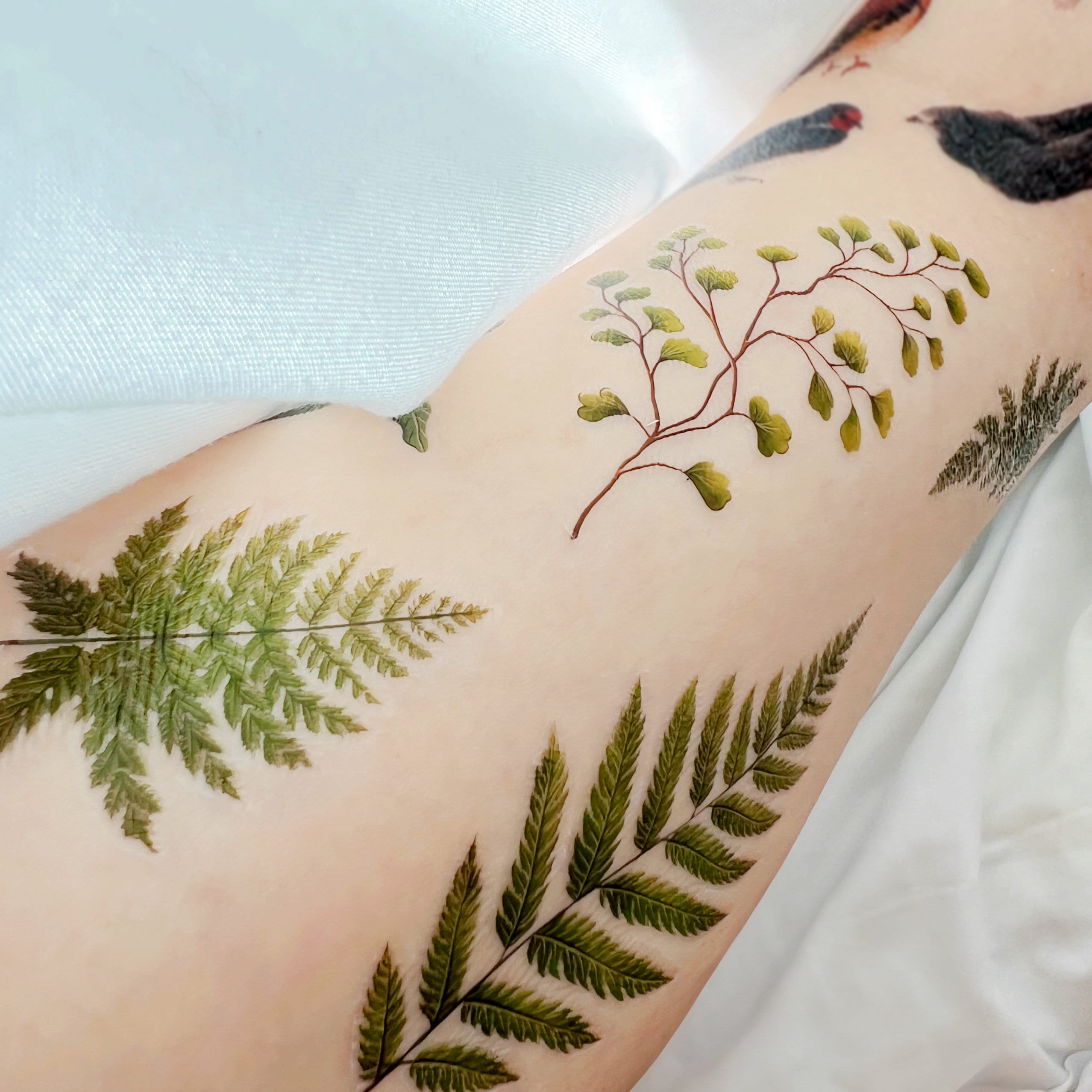 Small Fern Tattoo - Etsy, image size:2556x2556