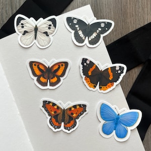 May include: Six colorful butterfly stickers with white outlines. The butterflies are in various poses and colors, including black, white, orange, red, and blue.