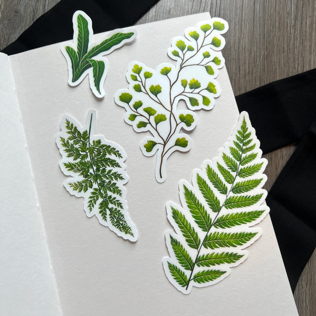 The Fern Sticker (separated) - Etsy