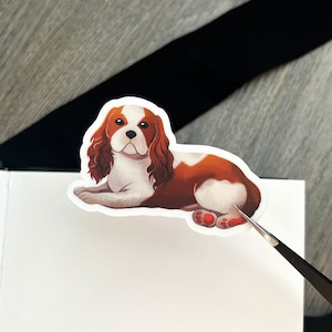 Cavalier King Charles Spaniel Vinyl Sticker