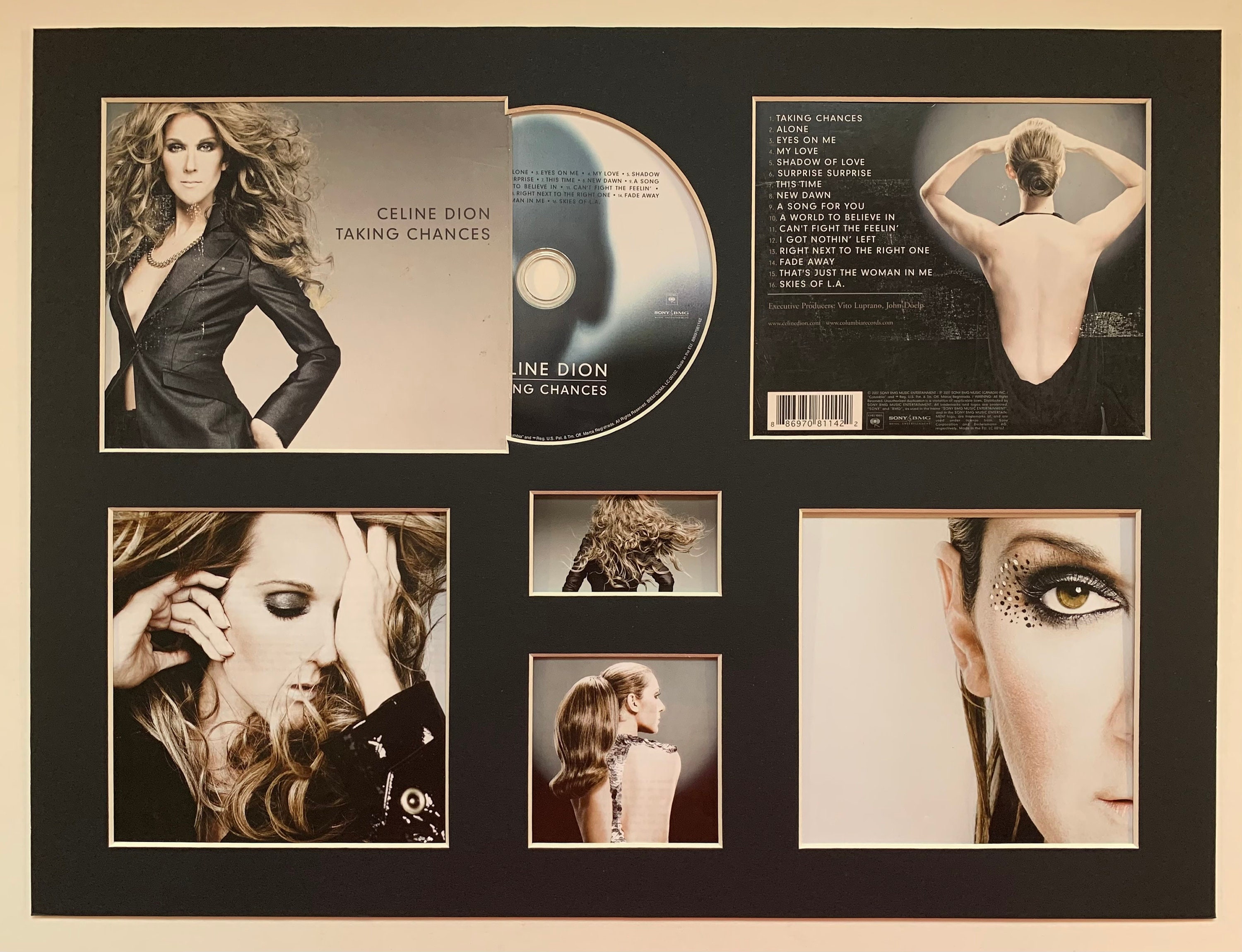 CELINE DION Taking Chances Album Display Deluxe
