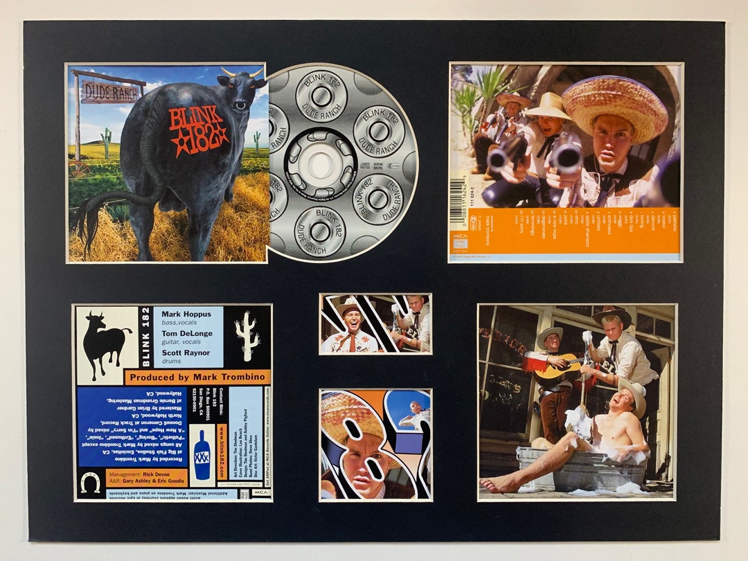 BLINK 182 - Dude Ranch - Album Display Deluxe - Etsy