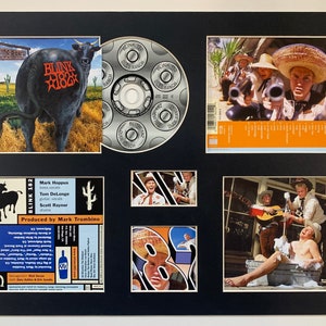 BLINK 182 - Dude Ranch - Album Display Deluxe