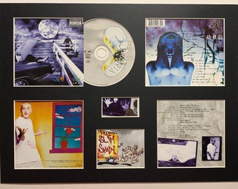 EMINEM - The Slim Shady LP - Album Display Deluxe