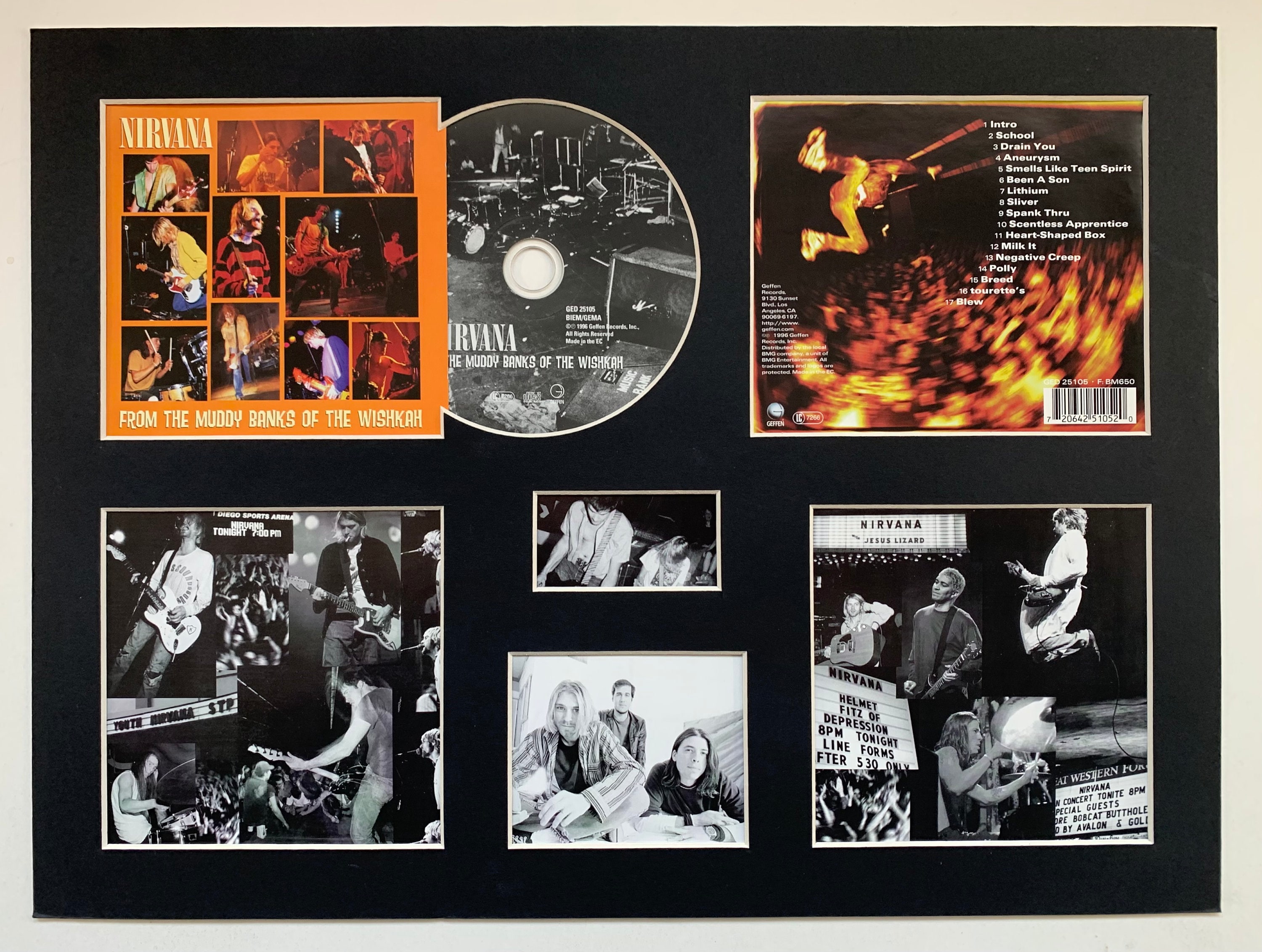 NIRVANA - From the Muddy Banks of the Wishkah - Album Display