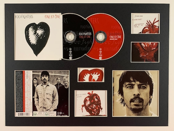 FOO FIGHTERS - One by One - Album Display 2 - Etsy