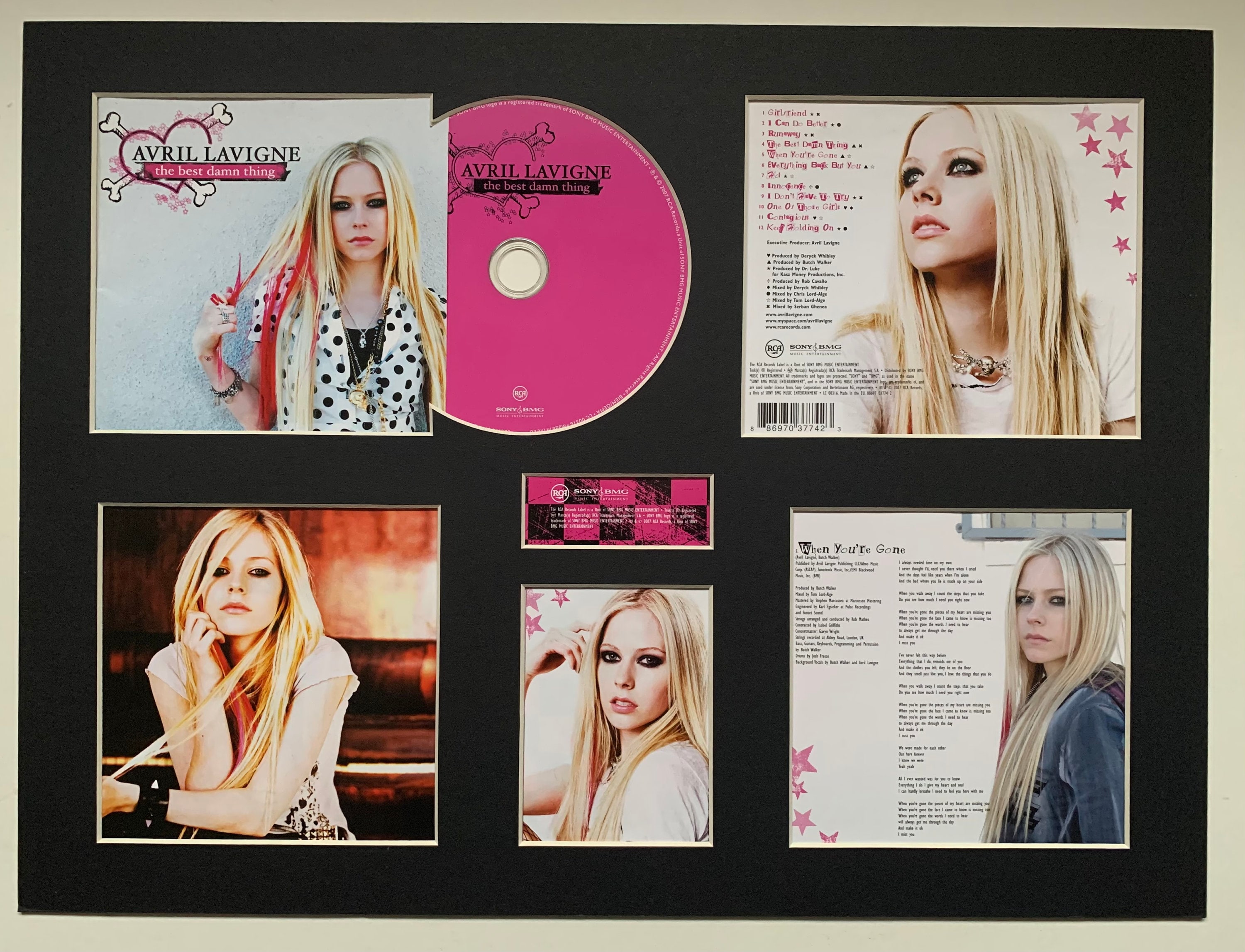 AVRIL LAVIGNE - the Best Damn Thing - Album Display Deluxe