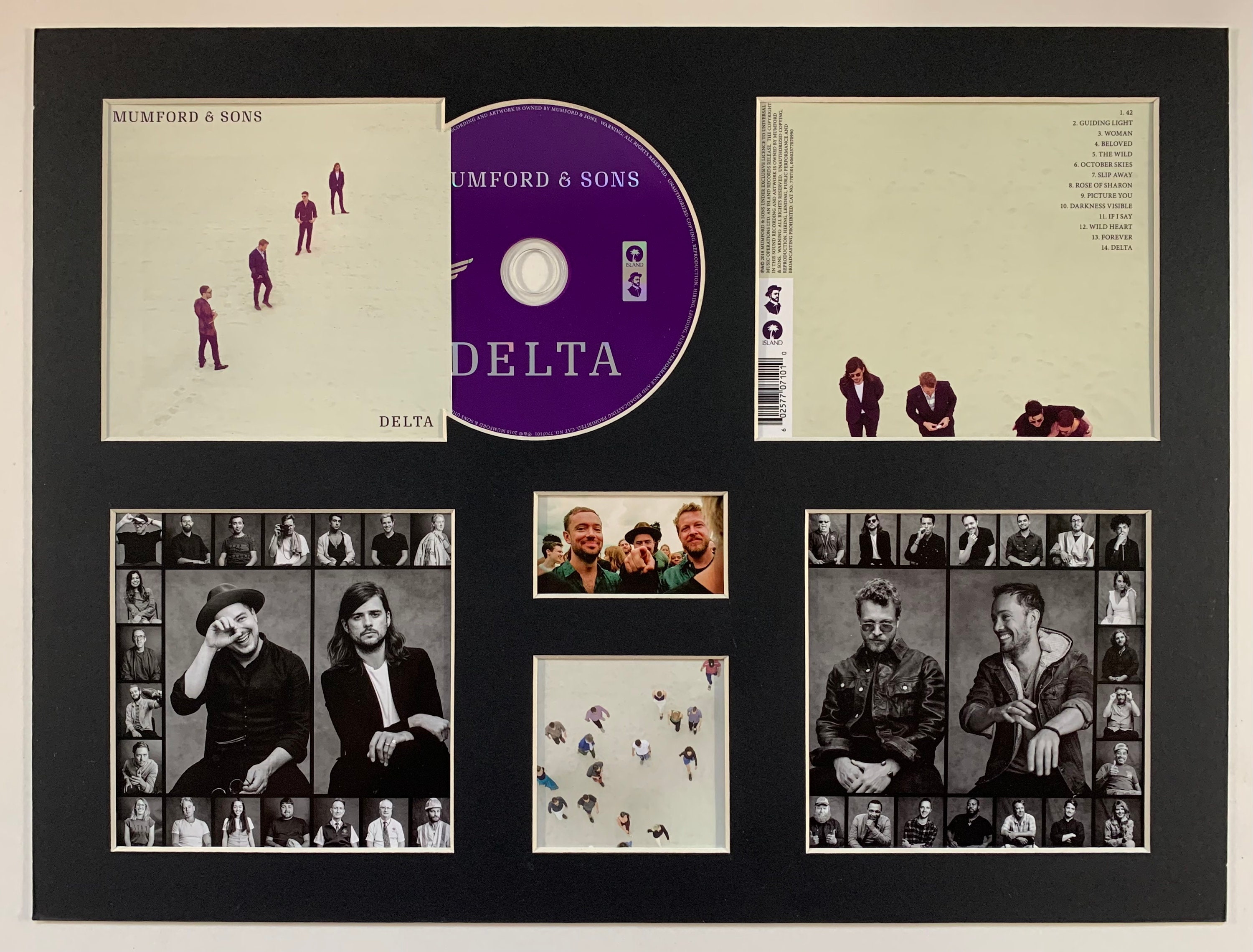 MUMFORD & SONS - Delta - Album Display Deluxe - Etsy