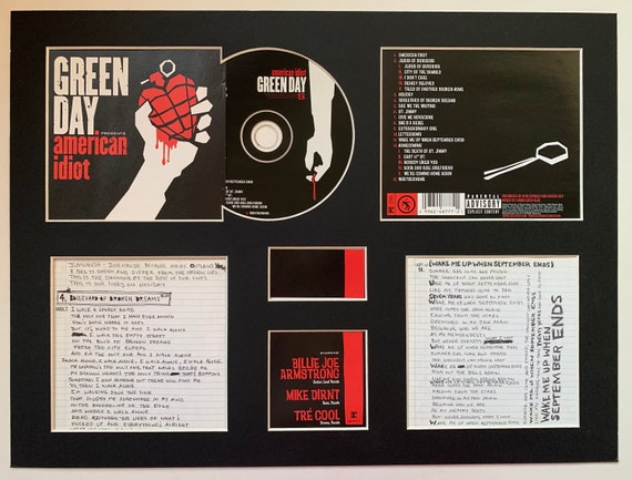 GREEN DAY - American Idiot - Album Display Deluxe - Etsy Canada