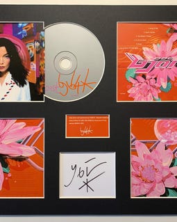 BJORK - Post - Album Display Deluxe - Etsy