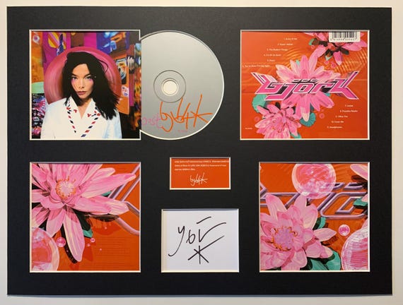 BJORK - Post - Album Display Deluxe - Etsy BJORK - Post - Album Display Deluxe - Etsy