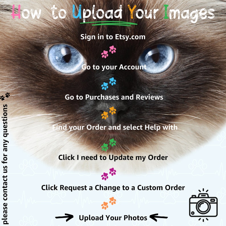 Best Friends Cat Face Socks Baby Cat Custom 3 Face Socks Baby Photo