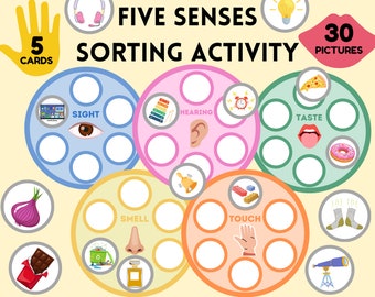 Five Senses Sorting Activity – Preschool Learning (Printable)
