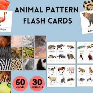 Montessori Animal & Animal Pattern Matching Printable Cards,Animals Details Matching, Educational Homeschool for kid, Montessori at home pdf
