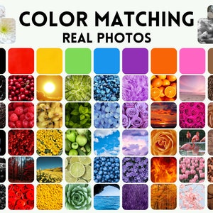 Peuter kleurmatchingkaarten, PreK afdrukbare PDF, Montessori, leerbinder, vroeg leren direct downloaden, kleuren in de natuur, echte foto
