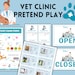 Vet Clinic Pretend Play Printable Set, Kids Activities (digital ...