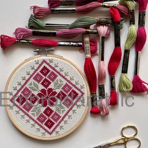 Palestinian Embroidery DIY tatreez Kit- 5in hoop