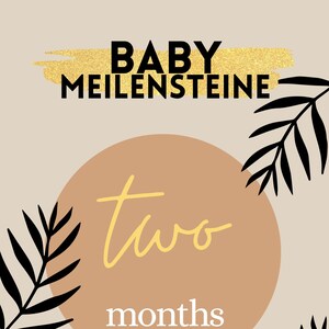 Baby Meilensteine Acrylglas / monatliche  Meilensteine - Geschenk, Babyparty, Babyshower 12 Stück Set Kreis Circle 9x0.3cm
