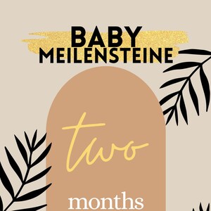 Baby Meilensteine Acrylglas / monatliche  Meilensteine - Geschenk, Babyparty, Babyshower 12 Stück Set Bogen Arch 11x8x0.3cm