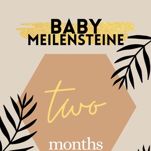 Baby Meilensteine Acrylglas / monatliche Meilensteine - Geschenk, Babyparty, Babyshower 12 Stück Set Sechseck Hexagon 10x8.7x0.3cm