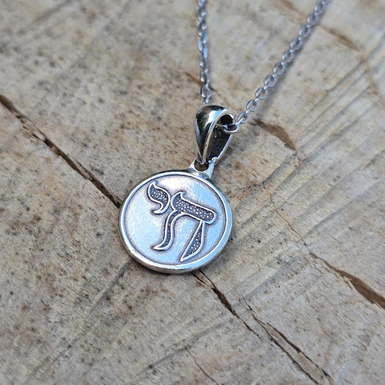 A silver pendant necklace with a circular medallion featuring a stylized symbol or design.