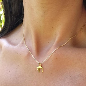 Goldfilled Chai Necklace Israel Jewelry Am Yisrael Chai Jewelry Judaica Jewelry Made in Israel Necklace I stand with Israel Jewish Jewelry