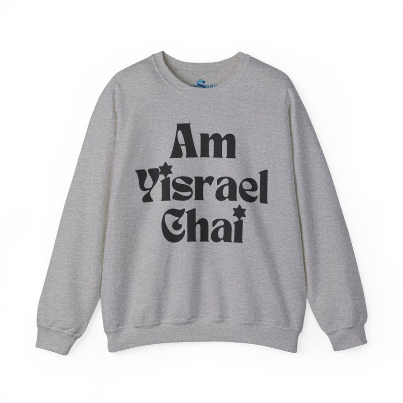 Sweat-shirt Am Yisrael Chai Pull chai d'Israël soutien Israël forte citation hébreu sweat à capuche cadeau juif Judaica Le peuple d'Israël vit image 9