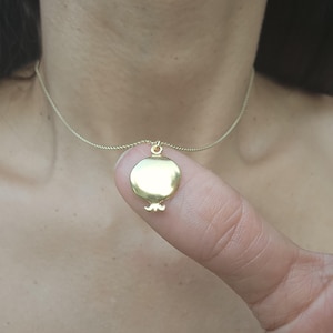 Pomegranate Necklace Judaica Jewelry Pendant Gold Filled Gift for Woman Rosh Hashanah Jewish Jewelry Made in Israel Necklace Gift