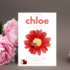 Invitación de cumpleaños floral, invitación de cumpleaños editable, invitación de cumpleaños de Lady Bug, invitación de Lady Bug, invitación de Lady Bug, plantilla editable