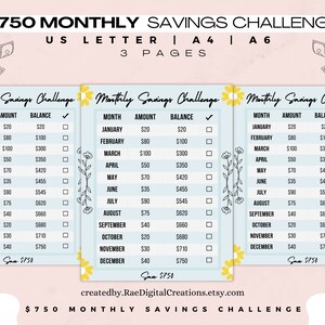 750 Monthly Savings Challenge, Save Money, Savings Challenge Bundle, Low Income Savings Challenge, Mini Savings Printable, A6 Savings Plan