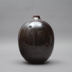 Puede incluir: Un jarrón de cerámica marrón oscuro y brillante con un cuerpo redondeado y un cuello estrecho. El jarrón tiene una superficie lisa y reflectante que capta la luz. La forma general es simple y elegante, adecuada para la decoración del hogar.