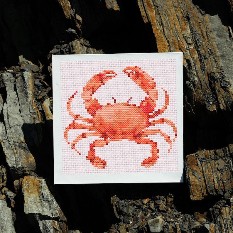 Set of 23 Sea creatures cross stitch patterns, Ocean animals cross stitch chart, Sea small tiny patterns, Whale turtle jellyfish embroidery image 9