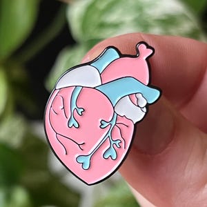 May include: A pink anatomical heart enamel pin with blue veins and a white section. The pin is a stylised representation of a human heart.