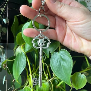 May include: Silver-colored key chain with a skull design. The key chain features a decorative key with a skull-shaped top and a ring for attaching keys. The key chain is held against a backdrop of green leaves.